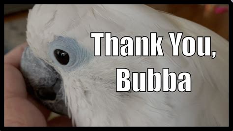 thank you bubba watch